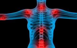 После нагрузок болит спина между лопатками