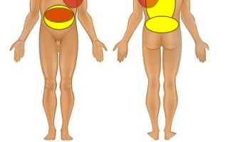 Болит в левой части спины под ребрами