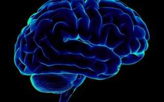 Болит голова как при температуре но ее нет