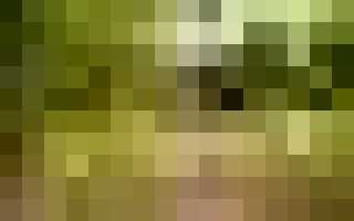 При прополке болит спина