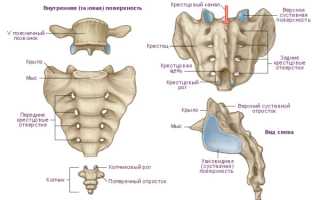 При сидении болит крестец и спина