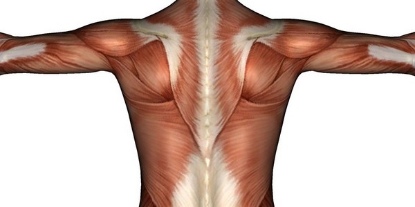 Невралгия спины