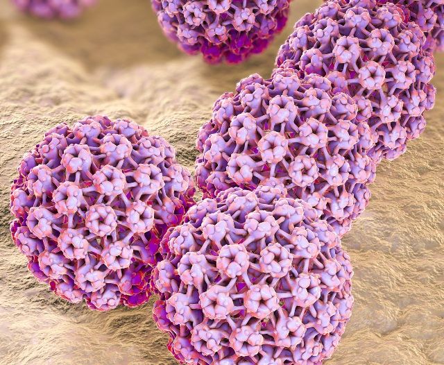 3д модель ВПЧ