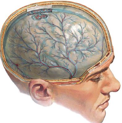 когда спина болит температура бывает