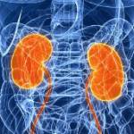 Заболевания почек