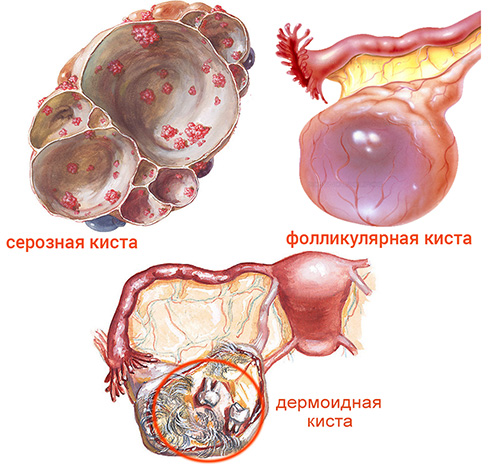 Болит спина у подростка к какому врачу обратиться