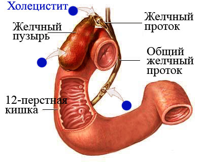 Болит правый бок отдает спину