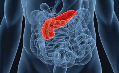 Когда болит спина что делать ребра