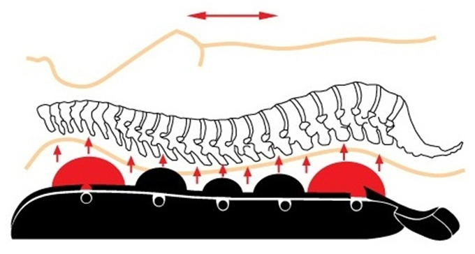 Использование тренажера Разумовского Использование тренажера Разумовского