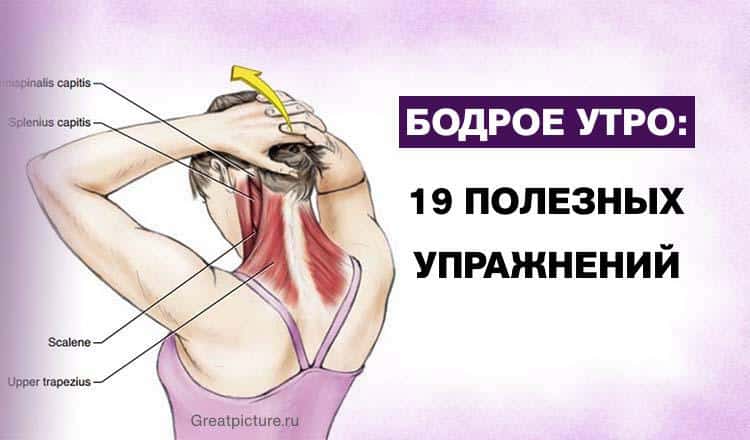 Утренние упражнения для бодрости